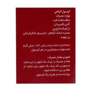 کپسول بوستر لیور سلامت گستر آرتیمان (30 عدد)