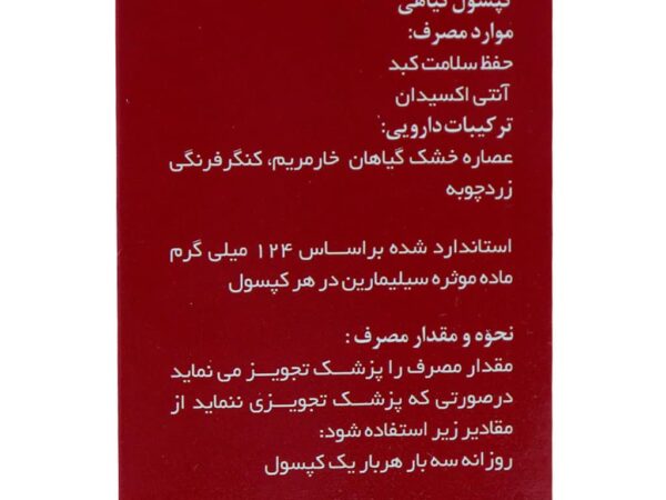 کپسول بوستر لیور سلامت گستر آرتیمان (30 عدد)