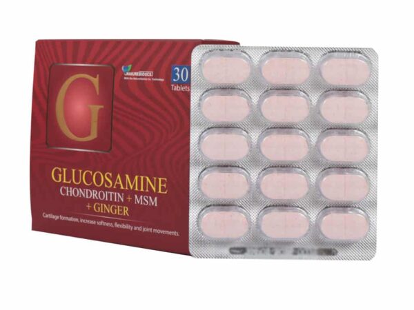 قرص گلوکزامین کوندرویتین ام اس ام زنجبیل نیچر بایوتیکس (30 عددی)